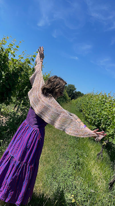Fanciful Notion Shawlette - Pattern Only