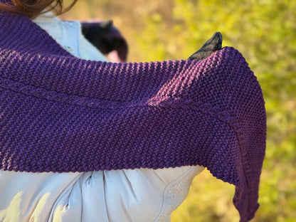 Frosty Wind Shawl - Pattern Only