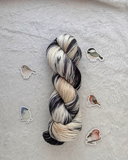 Black-Capped Chickadee -- PREORDER