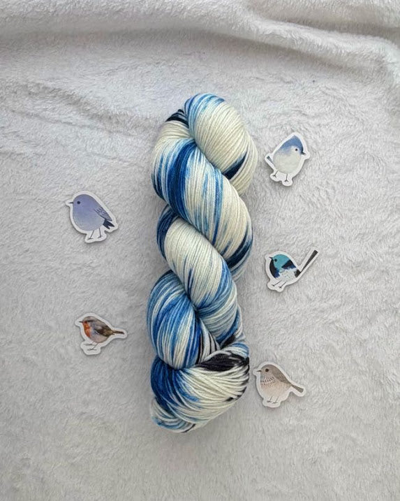Azure Tit -- PREORDER