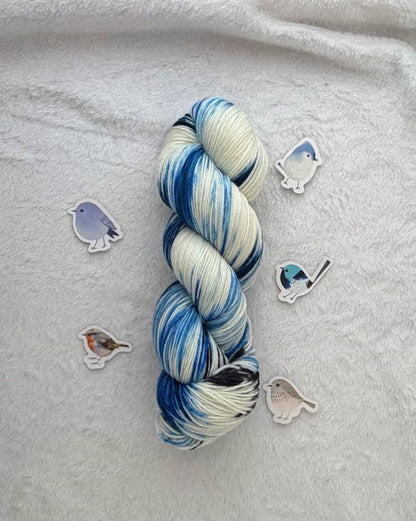 Azure Tit -- PREORDER