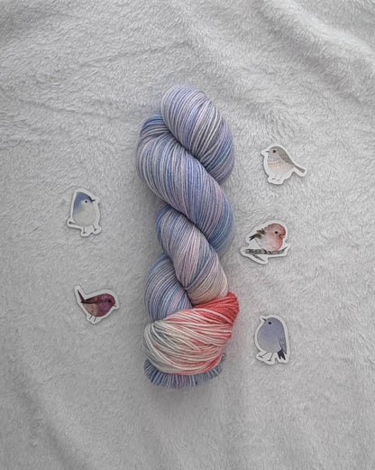 White-browed Tit-Warbler  -- PREORDER