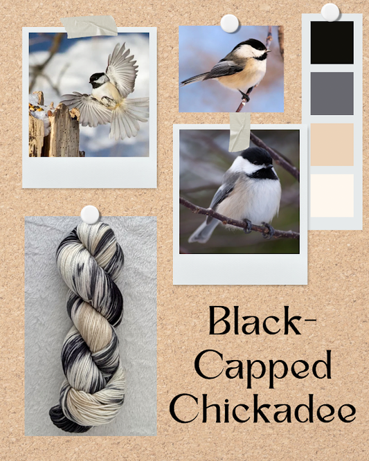 Black-Capped Chickadee -- PREORDER