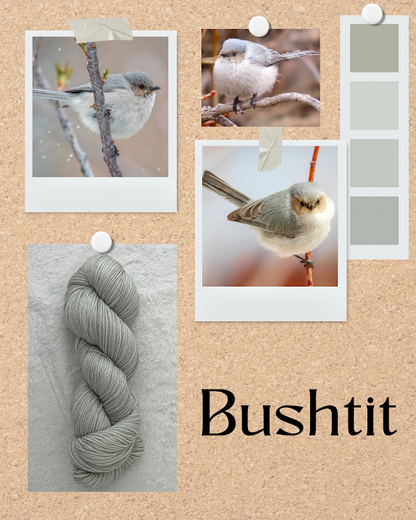 Bushtit -- PREORDER