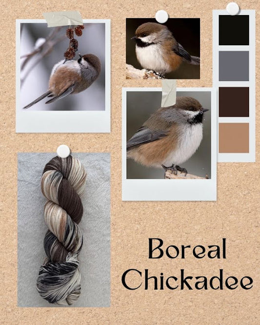 Boreal Chickadee -- PREORDER