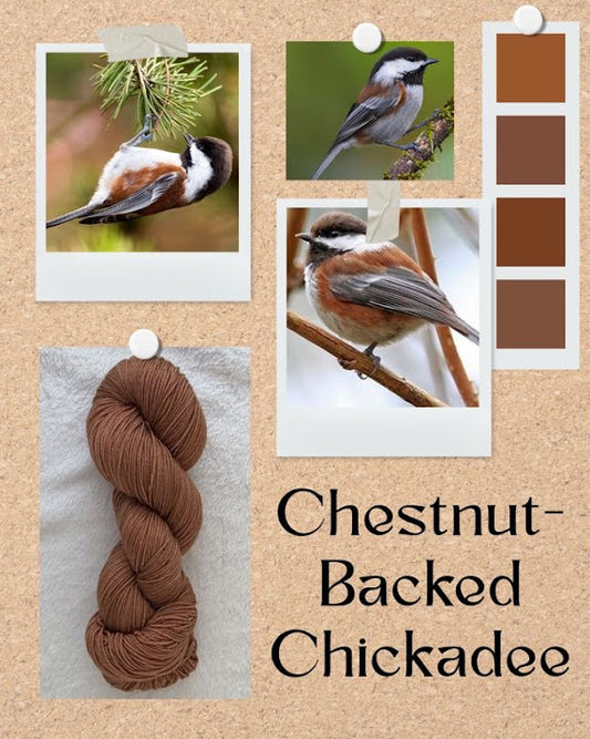 Chestnut-Backed Chickadee -- PREORDER