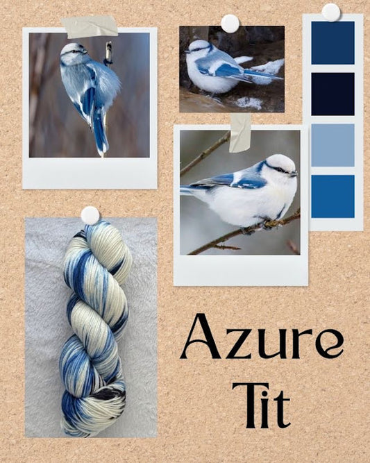 Azure Tit -- PREORDER
