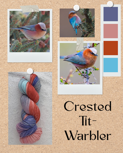 Crested Tit-Warbler -- PREORDER