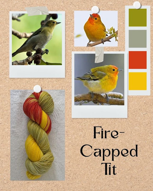 Fire-Capped Tit -- PREORDER
