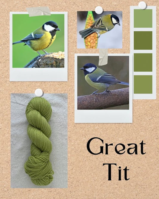 Great Tit -- PREORDER