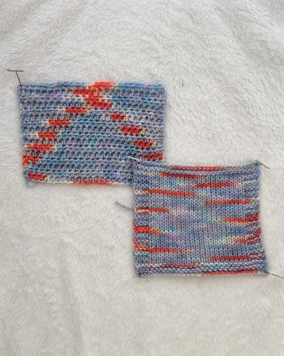 White-browed Tit-Warbler  -- PREORDER