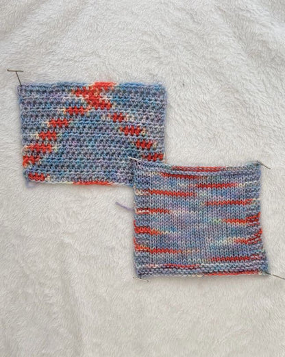 White-browed Tit-Warbler  -- PREORDER