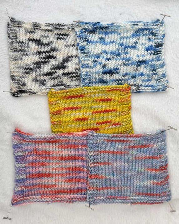 White-browed Tit-Warbler  -- PREORDER